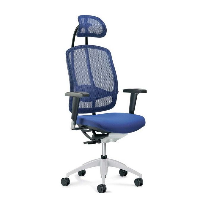 Ergonomischer Burostuhl Tego