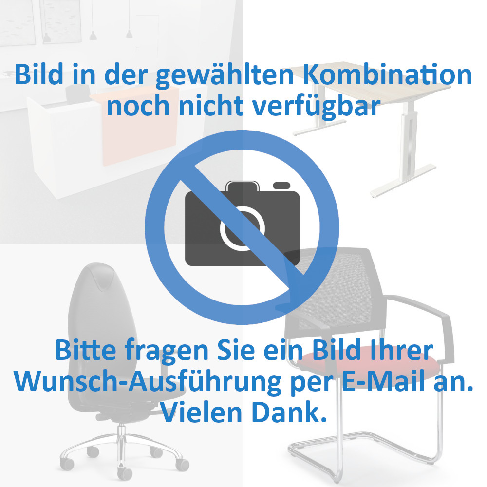 Hangeregistraturschranke Schranke